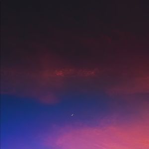 Meet your Posher, Zoey